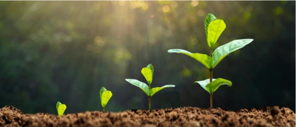 Pioniersplek in wording: Samen Jong